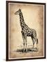 Vintage Giraffe-NaxArt-Framed Premium Giclee Print