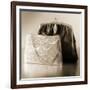 Vintage Glamour Evening Bags-Julie Greenwood-Framed Art Print