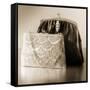 Vintage Glamour Evening Bags-Julie Greenwood-Framed Stretched Canvas