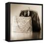 Vintage Glamour Evening Bags-Julie Greenwood-Framed Stretched Canvas