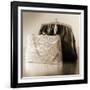 Vintage Glamour Evening Bags-Julie Greenwood-Framed Art Print