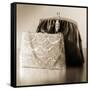 Vintage Glamour Evening Bags-Julie Greenwood-Framed Stretched Canvas