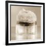 Vintage Glamour Powder-Julie Greenwood-Framed Art Print