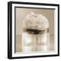 Vintage Glamour Powder-Julie Greenwood-Framed Art Print