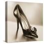 Vintage Glamour Shoe-Julie Greenwood-Stretched Canvas