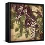 Vintage Grape Vines IV-Jason Johnson-Framed Stretched Canvas