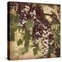 Vintage Grape Vines IV-Jason Johnson-Stretched Canvas