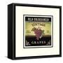 Vintage Grapes-Kimberly Poloson-Framed Stretched Canvas