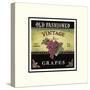 Vintage Grapes-Kimberly Poloson-Stretched Canvas