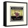 Vintage Grapes-Kimberly Poloson-Framed Stretched Canvas