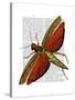 Vintage Grasshopper-Fab Funky-Stretched Canvas