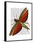 Vintage Grasshopper-Fab Funky-Framed Stretched Canvas