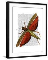 Vintage Grasshopper-Fab Funky-Framed Art Print