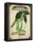 Vintage  Green Beans Seed Packet-null-Framed Stretched Canvas