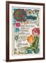 Vintage Greetings with Tulips-null-Framed Art Print