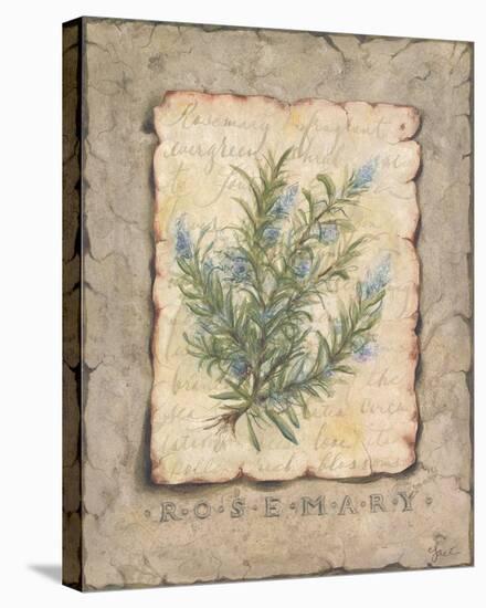 Vintage Herbs, Rosemary-Constance Lael-Stretched Canvas