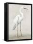 Vintage Heron I-Lily K-Framed Stretched Canvas