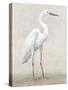 Vintage Heron I-Lily K-Stretched Canvas