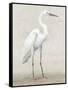 Vintage Heron I-Lily K-Framed Stretched Canvas