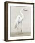 Vintage Heron I-Lily K-Framed Art Print