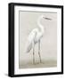 Vintage Heron I-Lily K-Framed Art Print