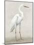 Vintage Heron I-Lily K-Mounted Art Print