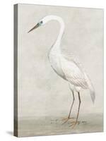 Vintage Heron II-Lily K-Stretched Canvas