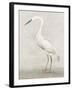 Vintage Heron II-Lily K-Framed Art Print