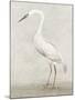 Vintage Heron II-Lily K-Mounted Art Print