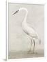 Vintage Heron II-Lily K-Framed Art Print