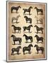 Vintage Horses Collection-NaxArt-Mounted Art Print