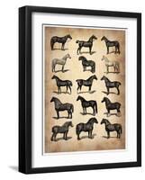 Vintage Horses Collection-NaxArt-Framed Art Print