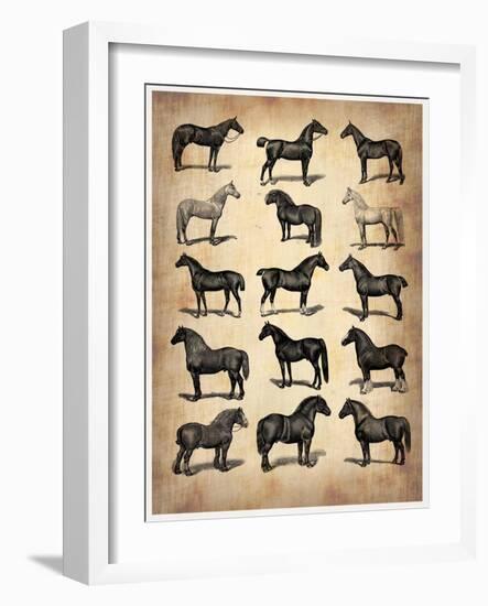 Vintage Horses Collection-NaxArt-Framed Art Print