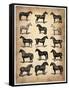 Vintage Horses Collection-NaxArt-Framed Stretched Canvas