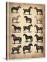 Vintage Horses Collection-NaxArt-Stretched Canvas