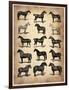 Vintage Horses Collection-NaxArt-Framed Premium Giclee Print