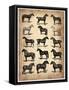 Vintage Horses Collection-NaxArt-Framed Stretched Canvas