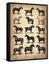 Vintage Horses Collection-NaxArt-Framed Stretched Canvas