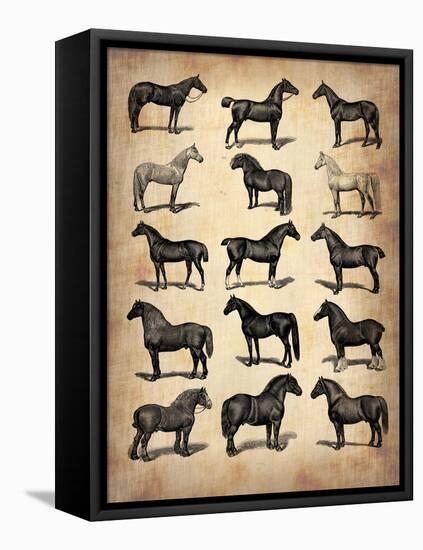 Vintage Horses Collection-NaxArt-Framed Stretched Canvas