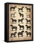 Vintage Horses Collection-NaxArt-Framed Stretched Canvas
