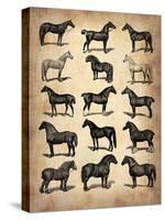 Vintage Horses Collection-NaxArt-Stretched Canvas