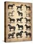 Vintage Horses Collection-NaxArt-Stretched Canvas