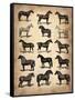 Vintage Horses Collection-NaxArt-Framed Stretched Canvas