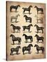 Vintage Horses Collection-NaxArt-Stretched Canvas