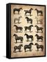 Vintage Horses Collection-NaxArt-Framed Stretched Canvas