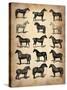 Vintage Horses Collection-NaxArt-Stretched Canvas