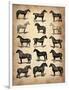 Vintage Horses Collection-NaxArt-Framed Art Print