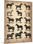 Vintage Horses Collection-NaxArt-Mounted Art Print