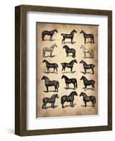 Vintage Horses Collection-NaxArt-Framed Art Print