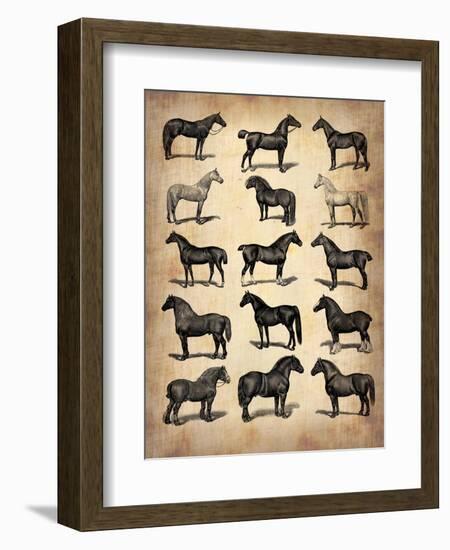 Vintage Horses Collection-NaxArt-Framed Art Print